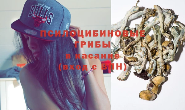 мдпв Магас